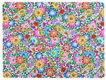 Folkstar Polish Folk Art Placemat – Plastic